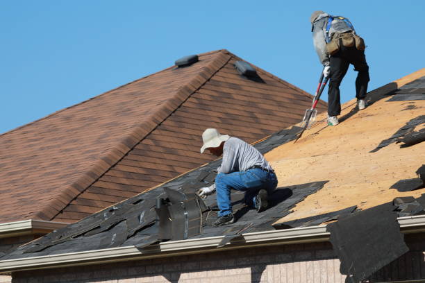 Professional Roofing and repair in Monona, IA